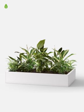 office planters for office storage cabinets