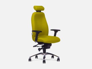 Adapt ergonomic occupational health task chair