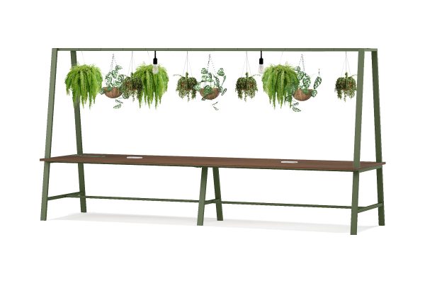 Larke office work work table with hanging plants and lighting