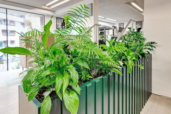 Fauna indoor office planters