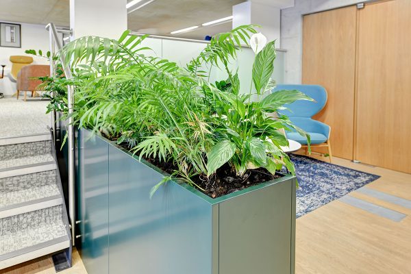 Fauna Indoor Office Trough Planter
